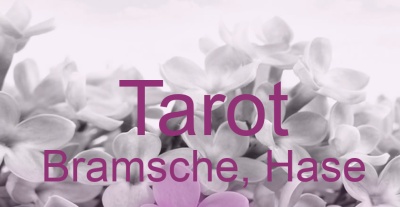 Tarot Bramsche, Hase | Top-Experten für Kartenlegen, Wahrsagen, Hellsehen, Zukunftsdeutung.